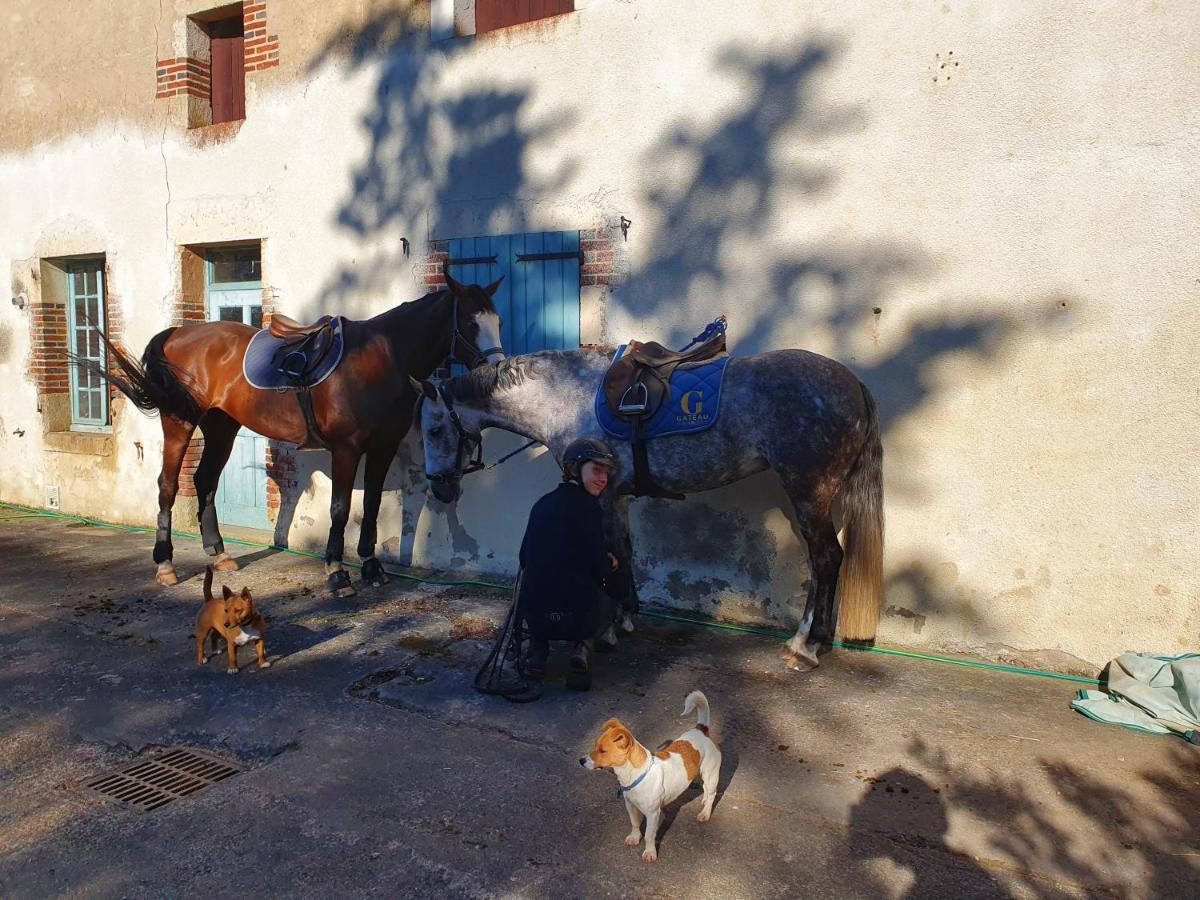 Ferme Equestre & Chambres D'Hotes Gateau Stables Proche Guedelon Saint-Amand-en-Puisaye Dış mekan fotoğraf