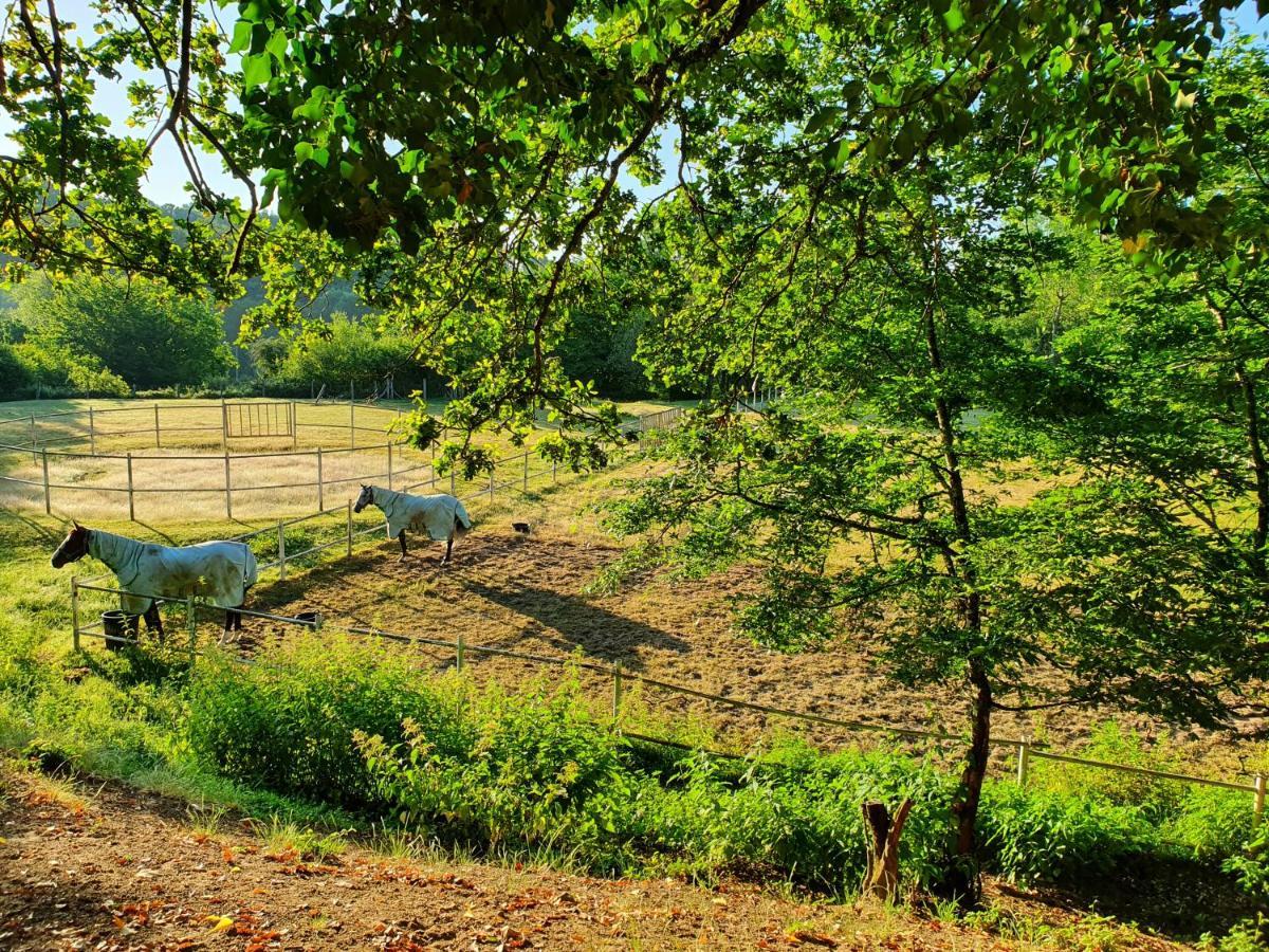 Ferme Equestre & Chambres D'Hotes Gateau Stables Proche Guedelon Saint-Amand-en-Puisaye Dış mekan fotoğraf