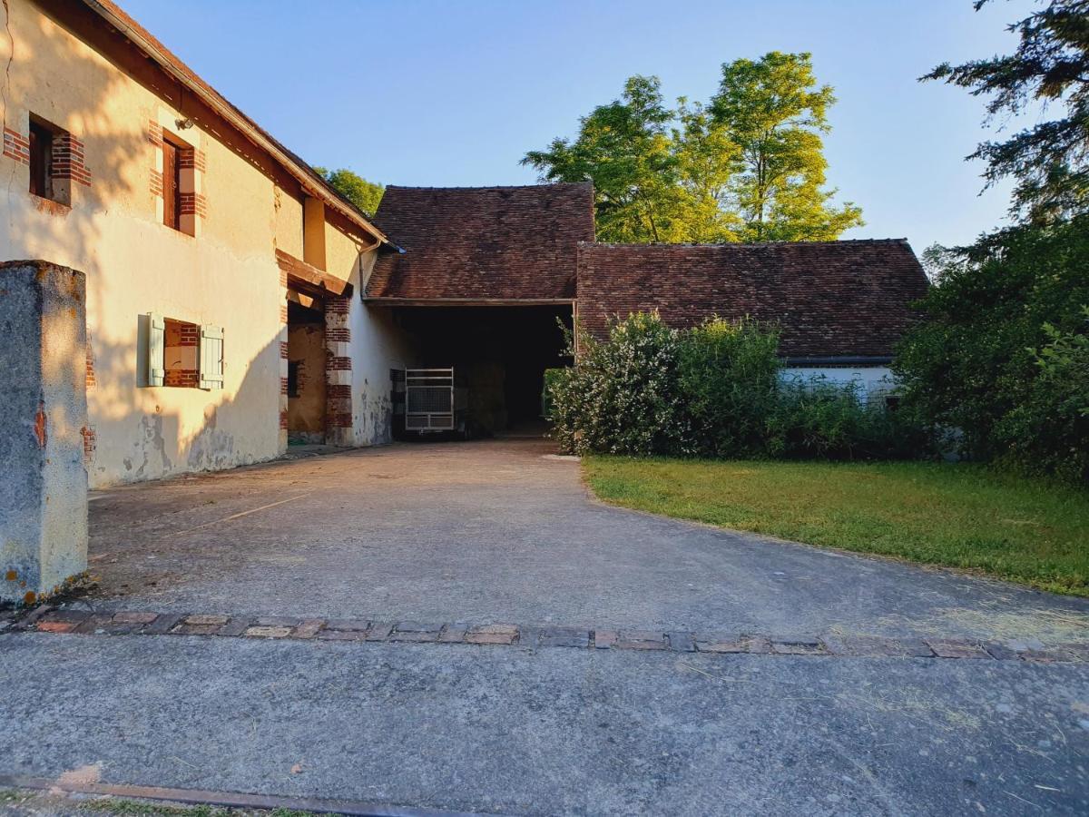 Ferme Equestre & Chambres D'Hotes Gateau Stables Proche Guedelon Saint-Amand-en-Puisaye Dış mekan fotoğraf