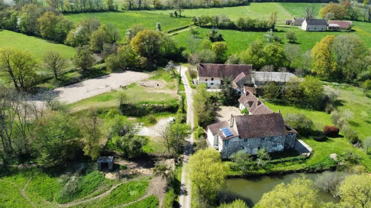 Ferme Equestre & Chambres D'Hotes Gateau Stables Proche Guedelon Saint-Amand-en-Puisaye Dış mekan fotoğraf