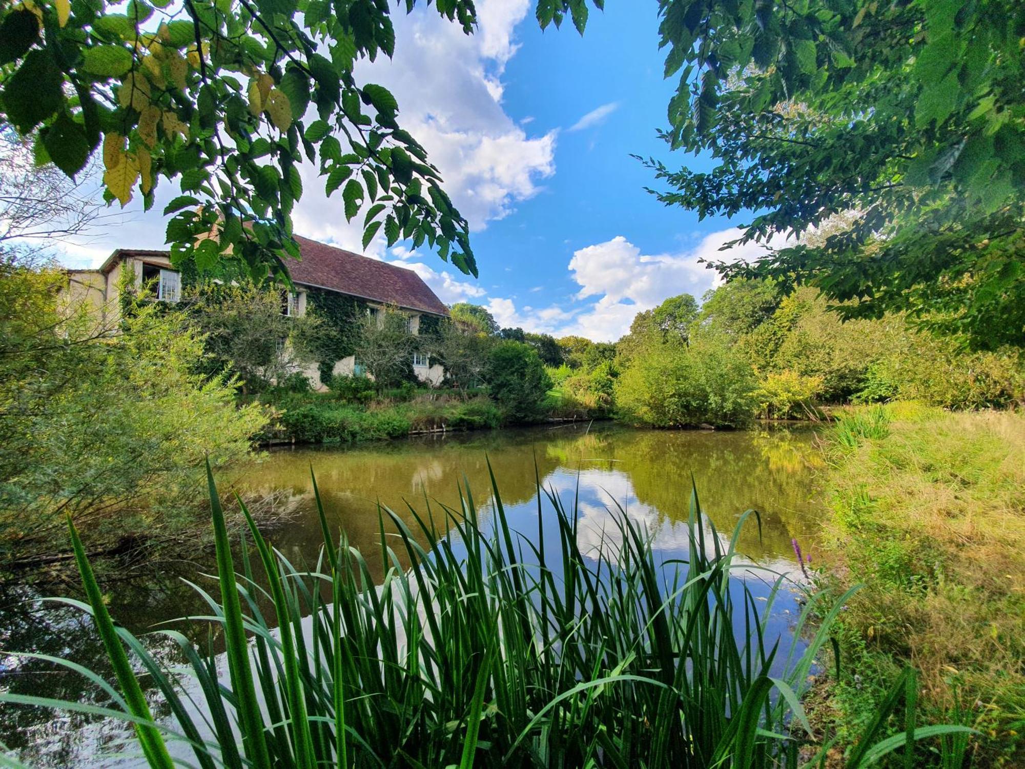 Ferme Equestre & Chambres D'Hotes Gateau Stables Proche Guedelon Saint-Amand-en-Puisaye Dış mekan fotoğraf
