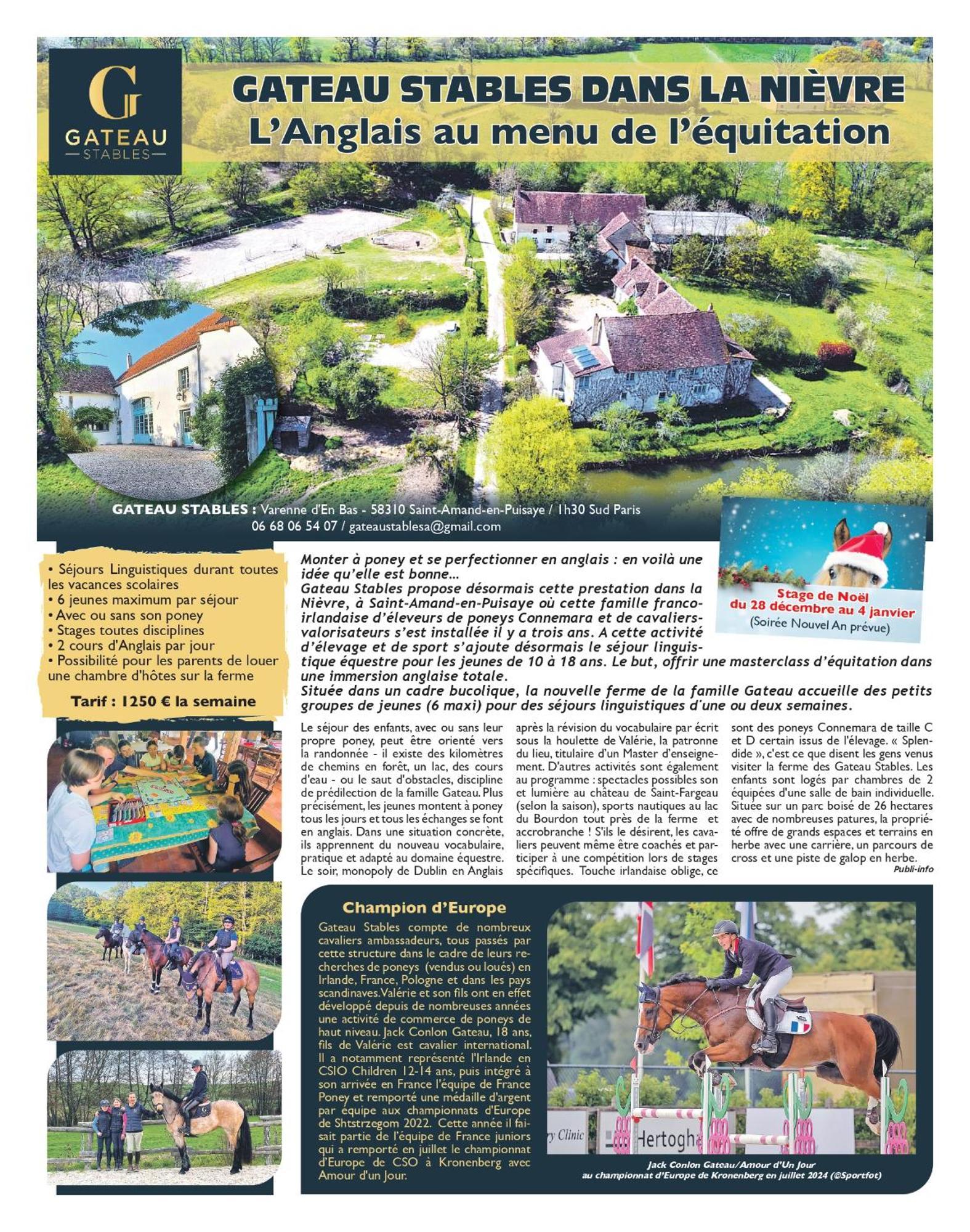 Ferme Equestre & Chambres D'Hotes Gateau Stables Proche Guedelon Saint-Amand-en-Puisaye Dış mekan fotoğraf